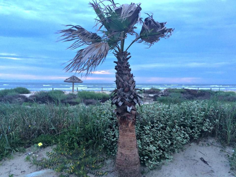 Unobstructed Oceanfront Sea Turtle Unit 2 Beach Pad! Surfside Beach Eksteriør bilde